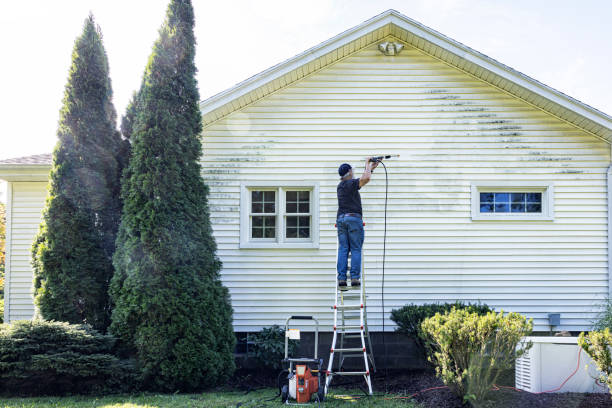Best Vinyl Siding Pressure Washing in Deer Park, NY